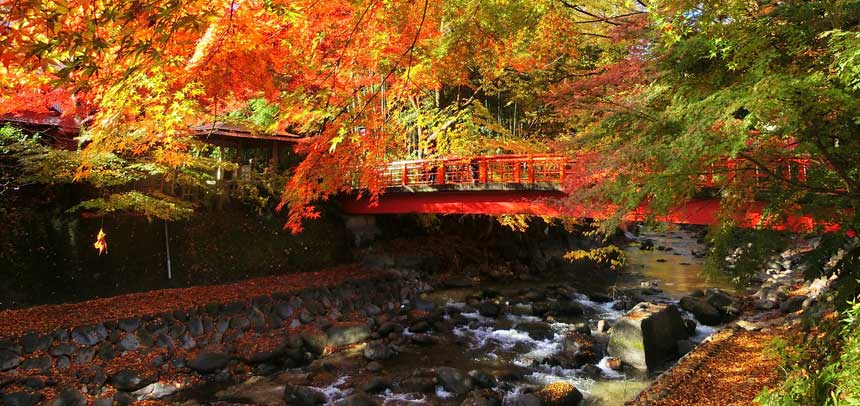 静岡県